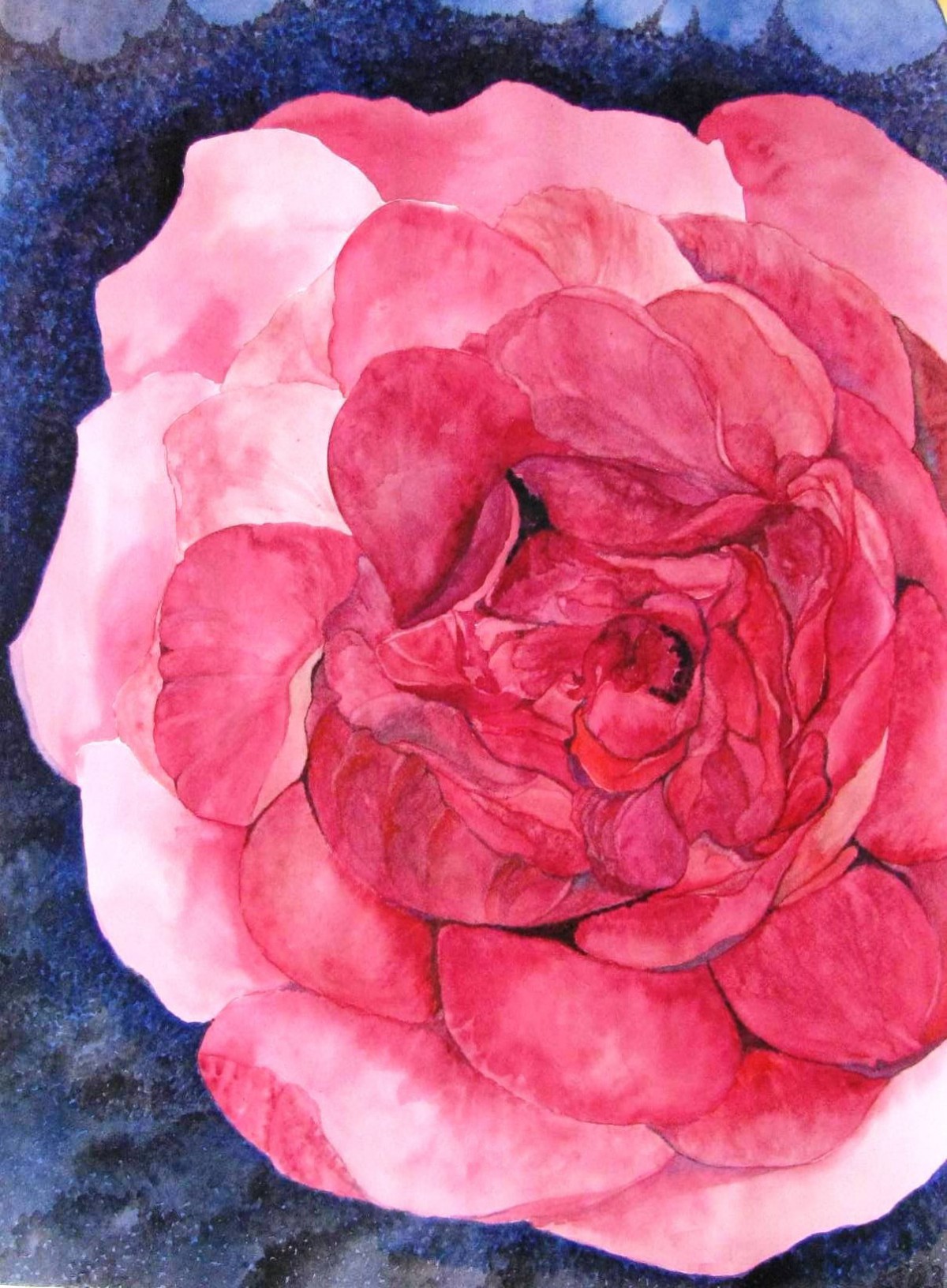 Rose, 40x50 cm
